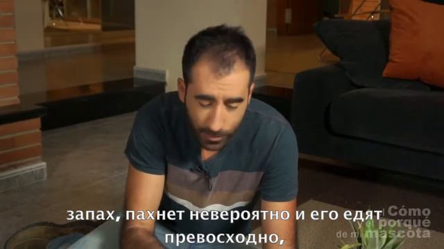 Натуральное питание шиншилл - композиция смотреть онлайн