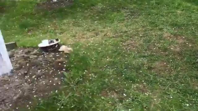 Бюджетный навес из поликарбоната для минитрактора.