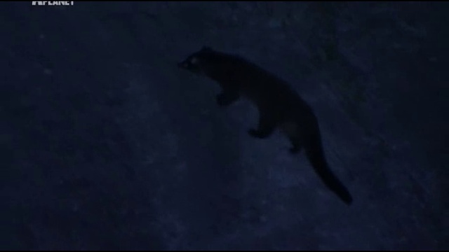 4 серия смотреть онлайн