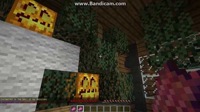 сервер майнкрафт с 1000 LvL смотреть онлайн