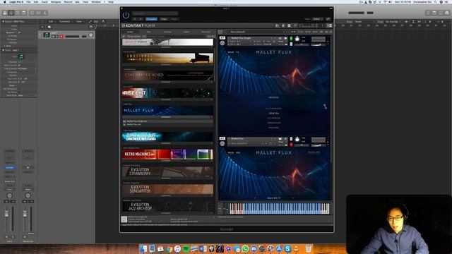 Native Instruments & Sonuscore: Mallet Flux (Reviewed) смотреть онлайн