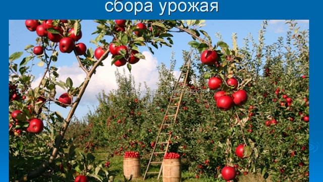 2021_10_04_сельхоз_лекция_1.mp4 смотреть онлайн