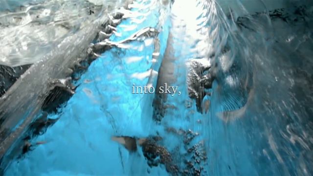 Pine Tree Tops - Gary Snyder смотреть онлайн
