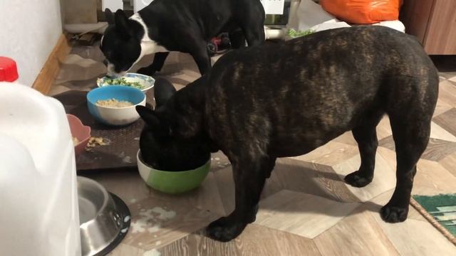 Французы едят окрошку.