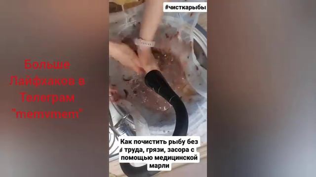 Как почистить рыбу без грязи и засора с помощью медицинской марли. смотреть онлайн