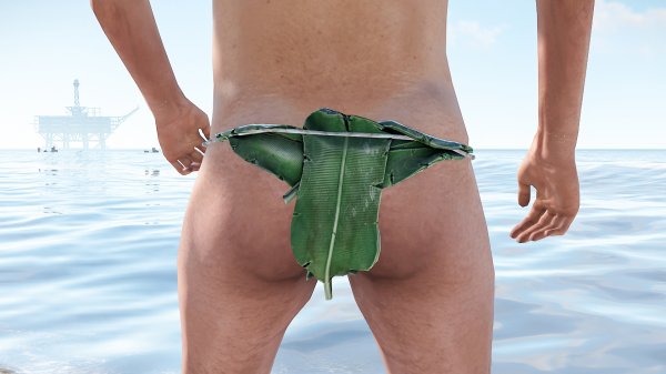 Куда долбимся, в ПОПУ? Девушка в раст/rust