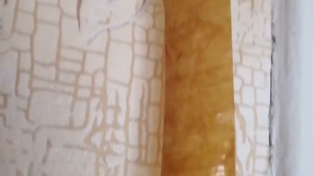 Как найти гнездо моли смотреть онлайн