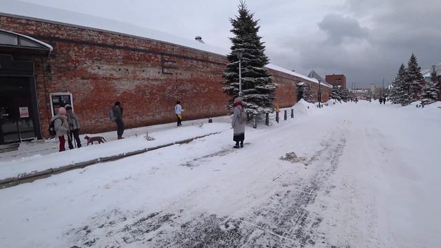 Hokkaido Feb2019# noboribetsu hakodate otaru sapporo #Louisforfun смотреть онлайн