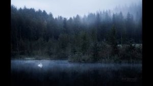 Краткое содержание Приёмыш. Мамин-Сибиряк Д. Н. Пересказ рассказа за 4 минуты