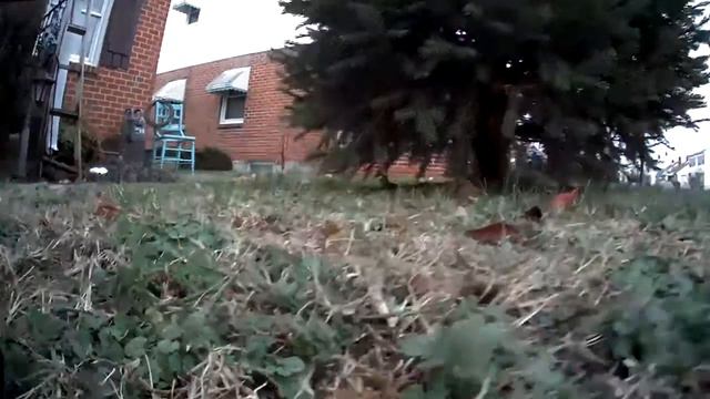 Promark gps shadow drone. смотреть онлайн