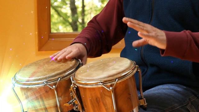 Bongo Music Instrument