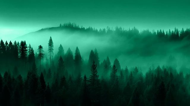 ＱＵＩＥＴ　ＷＯＲＬＤ смотреть онлайн