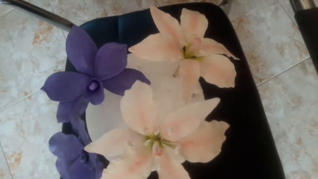 Orchid n tiger lily flowers смотреть онлайн