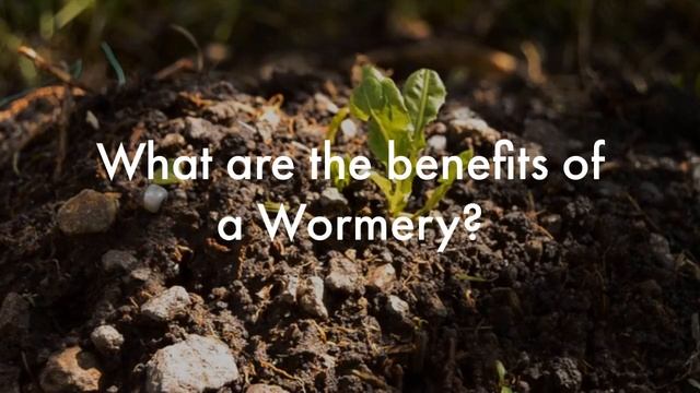 What is a Wormery & why should I get one? смотреть онлайн