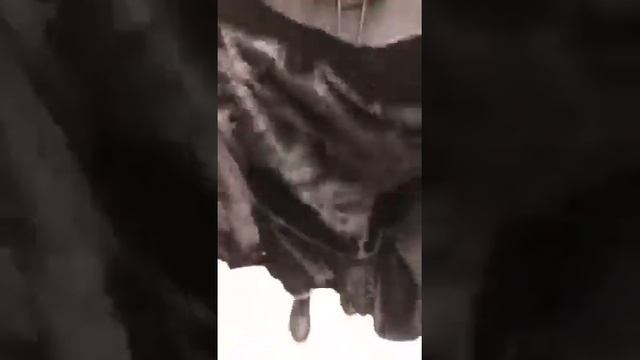 Как выбрать норковую шубу. Элитный мех блэкглама смотреть онлайн