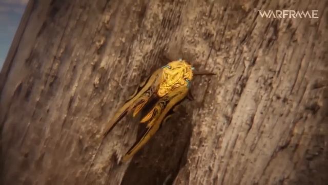 Taking a Look Back | 10 Years of Warframe смотреть онлайн