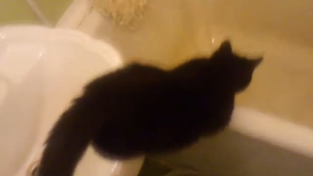 маленькая чёрная космическая дыра по имени Кексик смотреть онлайн