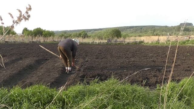 МОРОЗИЛКУ В РЕМОНТ/ОПЯТЬ ГРЯЗНАЯ/ПОСАДИЛИ КАПУСТУ/ смотреть онлайн