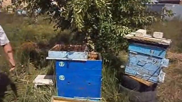ПОСАДКА РОЯ смотреть онлайн