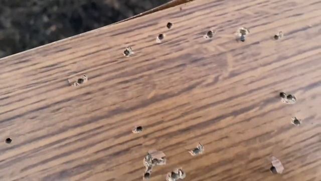 Сайга 410к-04: дробь номер «7» по 2 см ДСП + пуля шар. смотреть онлайн