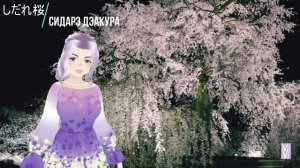 Сакура, слива, персик, как они отличаются? Виды сакуры. Иероглифы