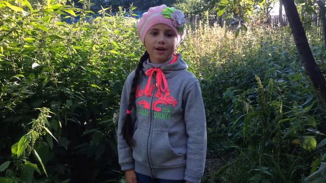 Страна читающая — Екатерина Шилович читает произведение «Я вам лета каплю подарю» А. Войнаровской смотреть онлайн