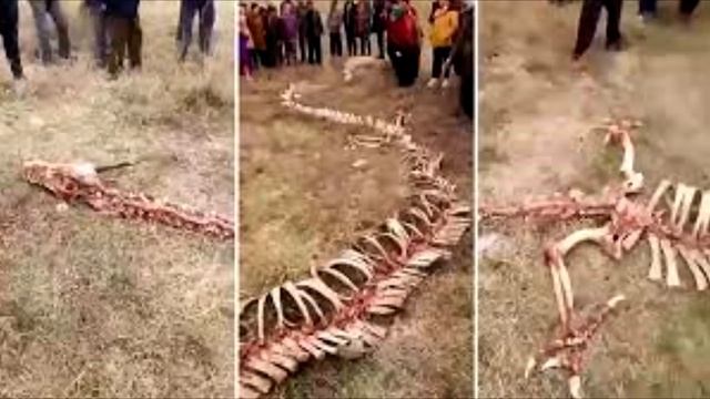 ✅500 лет назад жили драконы. После потопа решено было, создать новое общество. смотреть онлайн