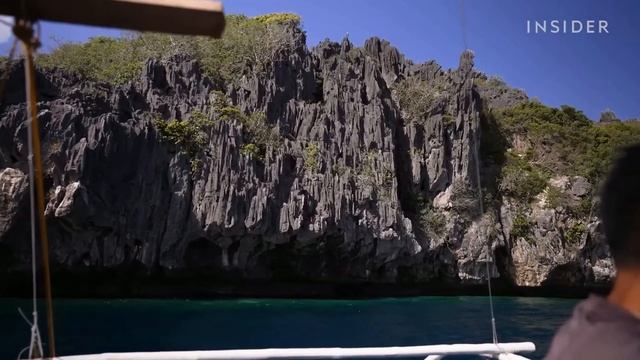 Почему люди рискуют жизнью, собирая птичьи гнезда по 2900 долларов