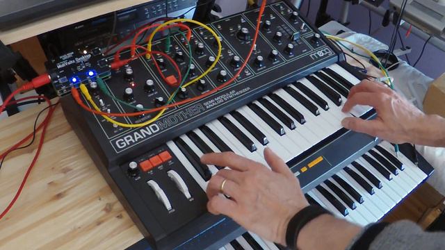 MidiVolts Desktop & Moog Grandmother demo Duophonic Action 7.4.2023 смотреть онлайн