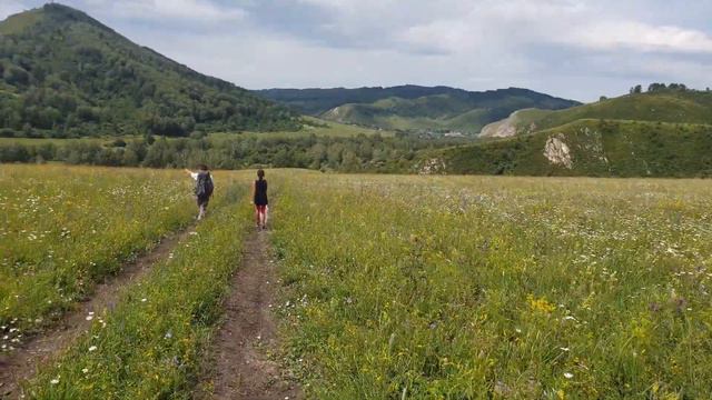 Цветы и небо. Просторы Алтая. @vderevne22ru смотреть онлайн