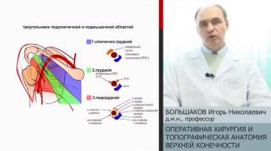 Большаков Игорь Николаевич Лекция Топографическая анатомия и оперативная хирургия верхней конечност