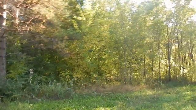 Сравнения в центральном парке Караганды смотреть онлайн