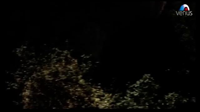 Too Mere Dil Mein (Pehchaan) смотреть онлайн