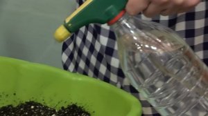 Как применять Алирин и Гамаир. Дневник Дачника Марины Рыкалиной. 07.03.18г.