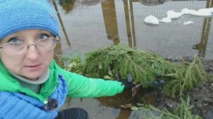 Видео привет с 6 соток 31 марта 2023 года