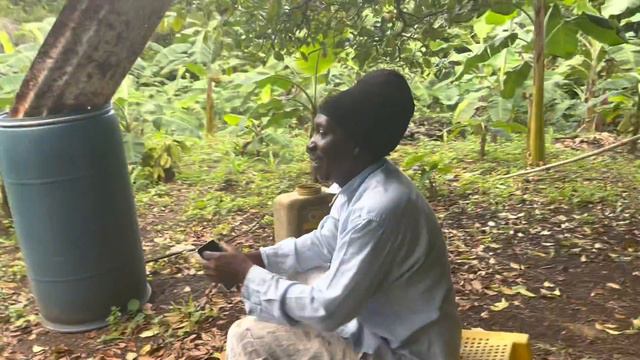 Grenadian Christmas in SEATTLE | Boiling SALTED HAM with family | Making SORREL DRINK | Music too? смотреть онлайн