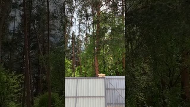 ГАДАНИЯ ЮТУБ ГАДАЛОК ОБО МНЕ)))..АВТОР: ИНГА ХОСРОЕВА смотреть онлайн