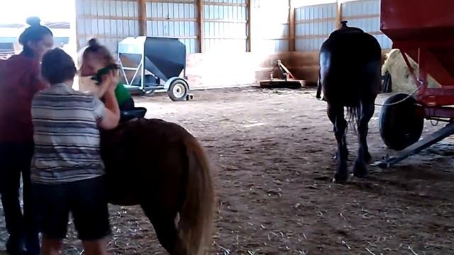 Fun on the farm :) Spring Mist Farm (6) смотреть онлайн