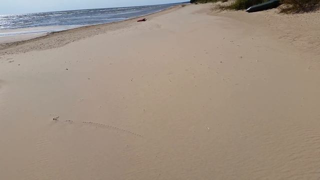 Чудское озеро.Озера Эстонии. Прибалтика смотреть онлайн