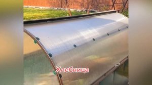 ОБЗОР ПАРНИКА ХЛЕБНИЦА НА КОМПОСТНОЙ ЯМЕ. ПОЧЕМУ НЕ ТРИ МЕТРА?