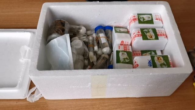 ОГРОМНАЯ посылка с МУРАВЬЯМИ УБИЙЦАМИ из Китая смотреть онлайн
