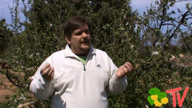 Деньги и главный секрет смотреть онлайн