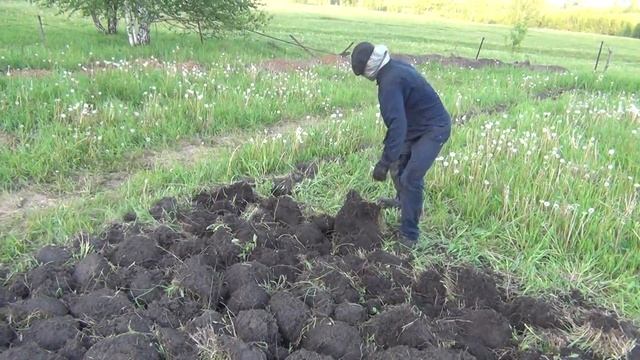 КАК НАДО КОПАТЬ смотреть онлайн