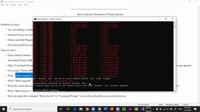 How to Resolve Flutter Doctor Related all Problems смотреть онлайн