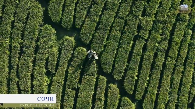 10 Лучших КУРОРТОВ России от Кисловодского Курортного Управления смотреть онлайн