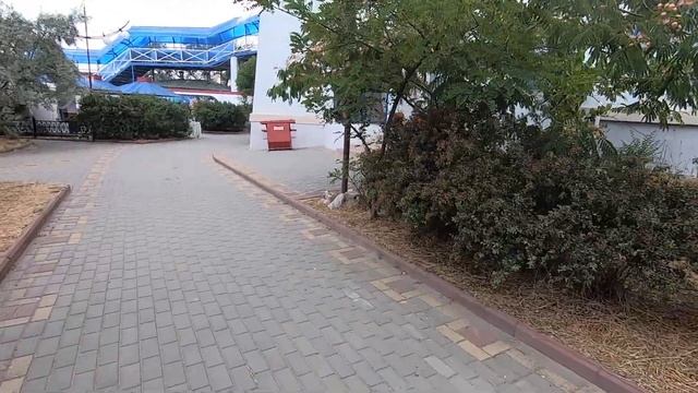 Стручки акации смотреть онлайн