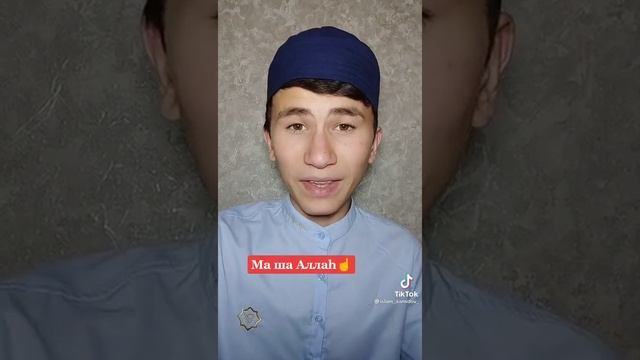 Какие животные видят ангелов ? смотреть онлайн