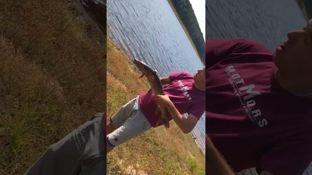 Рыбалка на Зейском водохранилище! смотреть онлайн