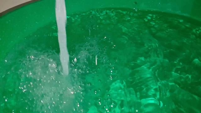 КАБАЧКИ ГОТОВЯТСЯ К ПЕРЕЕЗДУ В ГОЛУБЯТНЮ