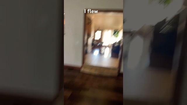 I think I am a fairy смотреть онлайн